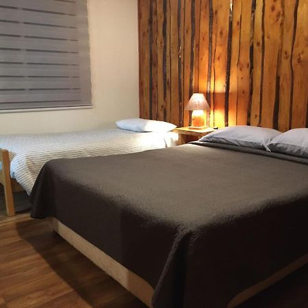 Ruka Pucon Hostel Ngoại thất bức ảnh