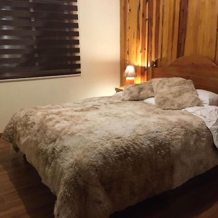 Ruka Pucon Hostel Ngoại thất bức ảnh