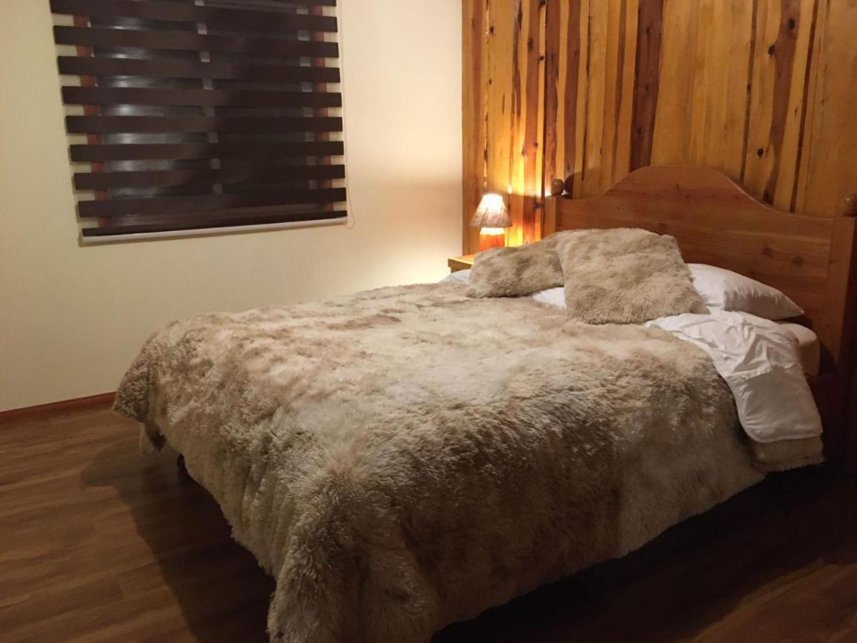 Ruka Pucon Hostel Ngoại thất bức ảnh